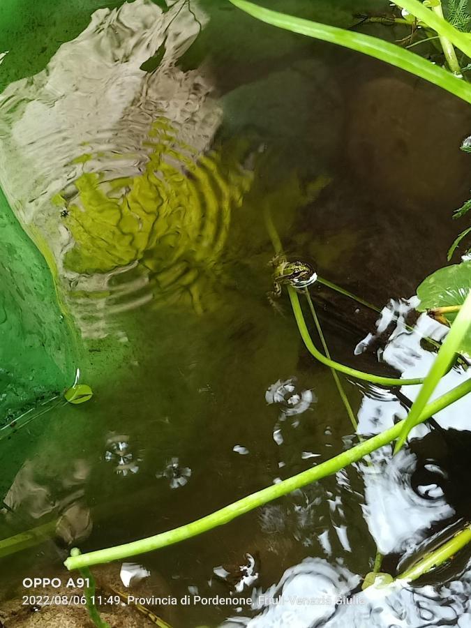 Rovere Dalla Riva Arzene  Kültér fotó